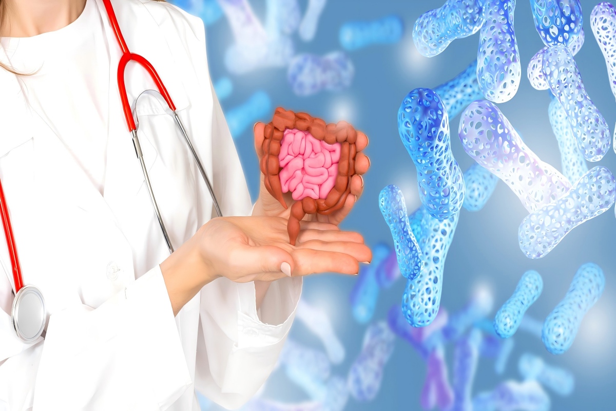 Lactobacillus plantarum配图(1) Lactobacillus plantarum配图(1)